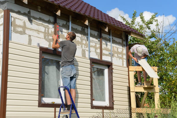 Best Siding Painting and Refinishing  in Rayne, LA